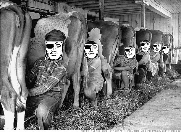 8-raiders-milking