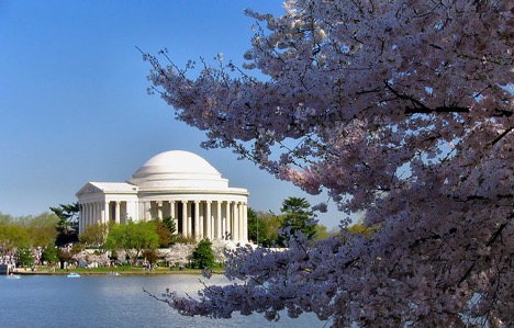 tidal-basin