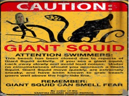 giant squid caution